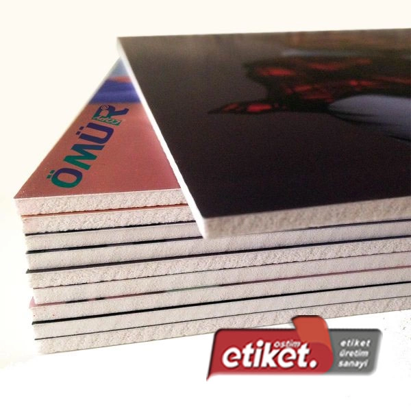 Dekota Foreks Uygulama Sıvama - Görsel 4